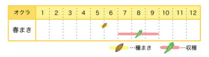 オクラの栽培カレンダー