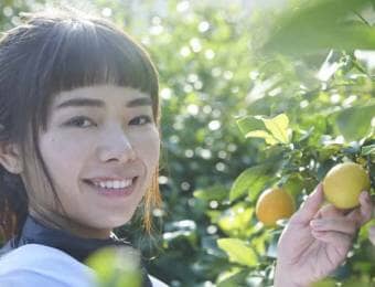 レモンを収穫する女性