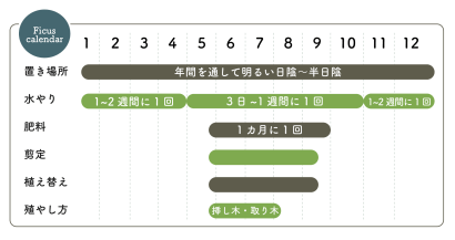 ゴムの木栽培カレンダー